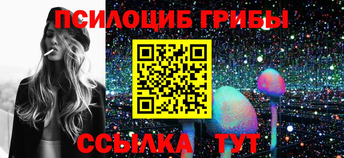 закладка  Вход с VPN  Кыштым  Галлюциногенные грибы мицелий  Галлюциногенные грибы Psilocybe 