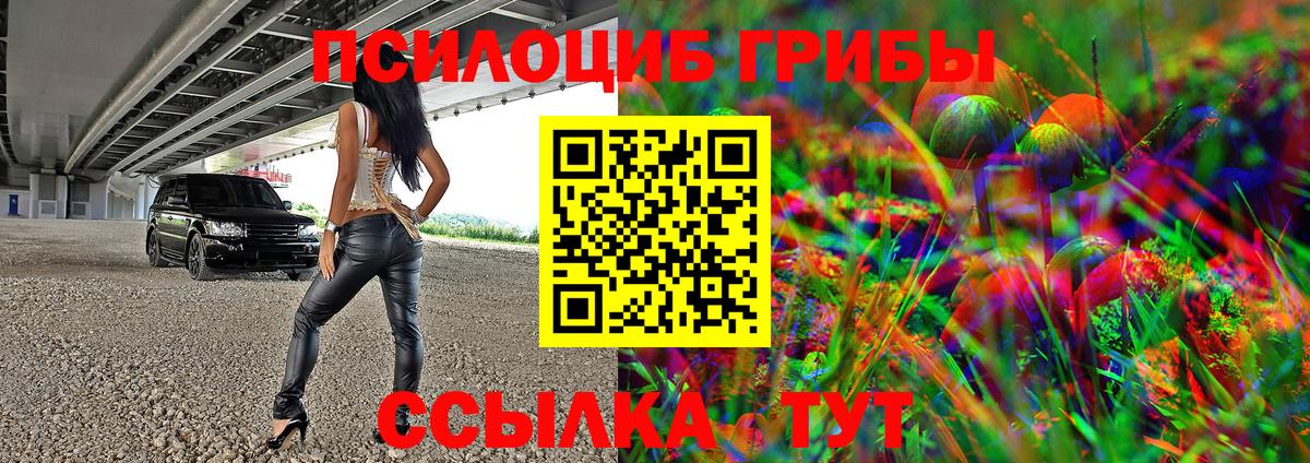 Псилоцибиновые грибы Cubensis Кыштым